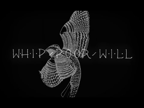 Madeline Finn - Whippoorwill (Official Video)