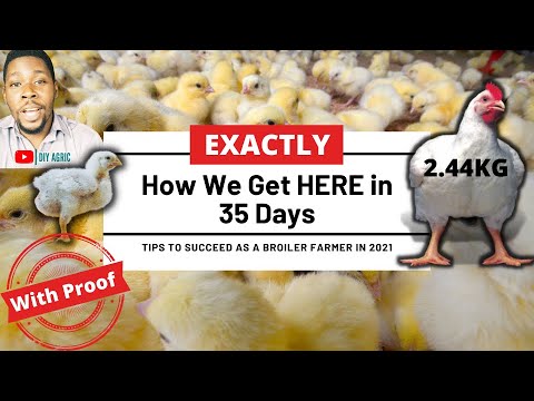 , title : 'Step-By-Step Guide to Get Maximum Broiler Weight and Growth Per Week'