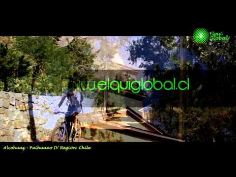 ALCOHUAZ PAIHUANO elquiglobal