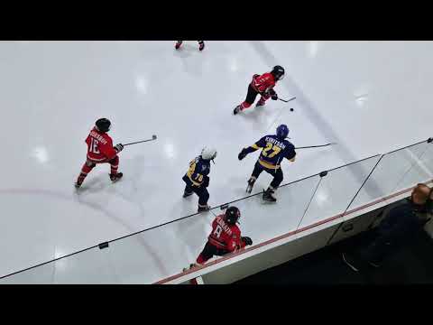 HC VIPERS 2013 - HK TORNAADO ELKV U12-1 2023/2024