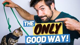 How to Put a Harness on a Cat - EASY