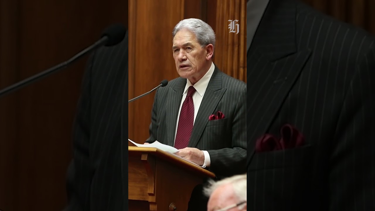 Protester interrupts Winston Peters' speech at parliament