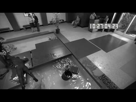 a michael has fallen into the koi pond