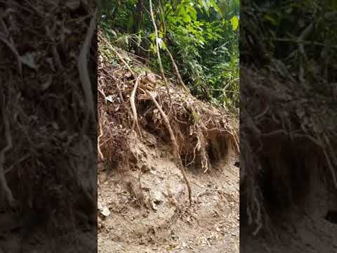 Saut D'eau Beach- nearby concerns