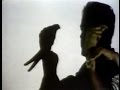 Sesame Street Shadow Puppet Parrot Prasanna Rao