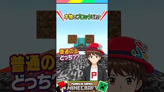 どっちが本物のブロック？？ #マイクラ #マインクラフト #Minecraft #まいくら #クイズ #ゲーム #Shorts