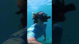 Diving Crystal Clear High Tide off Palm Beach