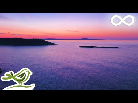 11M+ People Have Fallen Asleep To This Sleep Music