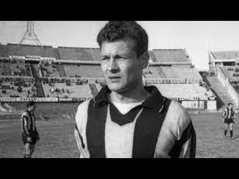 Nestor 'Tito' Goncalves vs Celtic 1967 (All Touches & Actions)