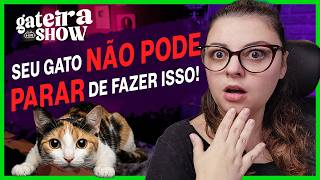 O Que Está Acontecendo com O GATO que NÃO CAÇA? | Gateira Live Show #024