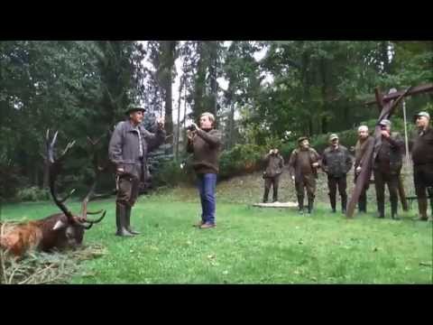 Braver Hirsch am Anreisetag zur Strecke gebracht.