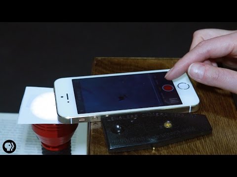 See Microbes with this DIY Phone Microscope