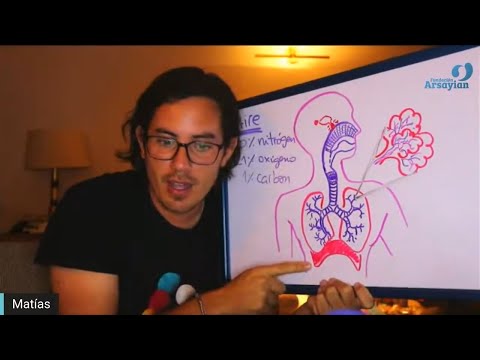 Day 293 Edición en Español - RESPIRATORIO-INMUNE - Spanish edit- Matias De Stefano