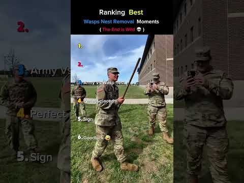 Best Wasps Nest Removal Moments.