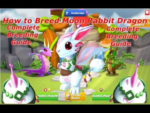 How to Breed Moon Rabbit Dragon-Dragon Mania legends | Dragon of The Week Moon Rabbit Dragon | DML