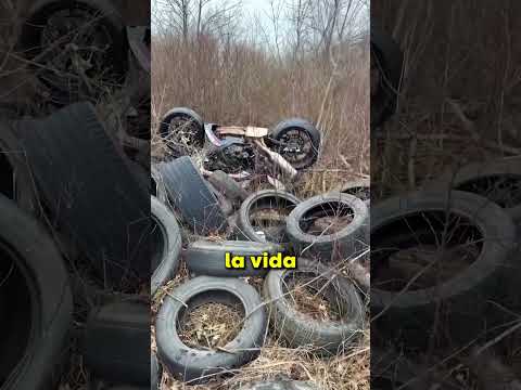LA MEJOR MOTO DEL MUNDO!! 😯