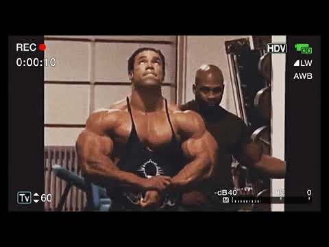 Jt - O SHOW VAI COMEÇAR