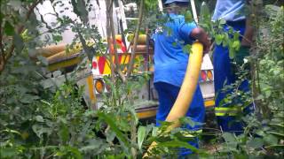 The Honeysucker 20 Dec 2015