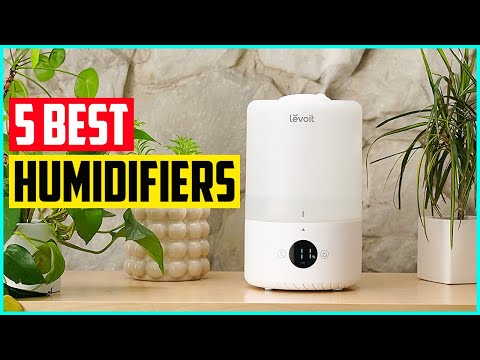The 5 Best Humidifiers In 2021
