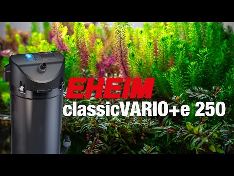 Watch Video on YouTube