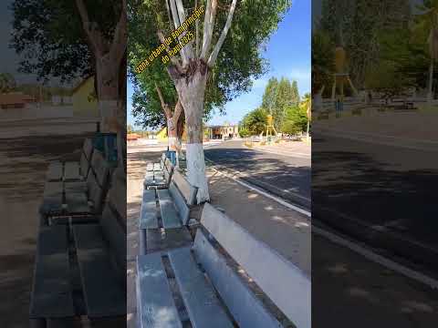 zona urbana da cidade de Bom princípio do Piauí 2025