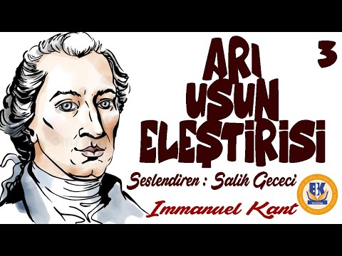 Arı Usun (Saf Aklın) Eleştirisi - Immanuel Kant (Sesli Kitap 3.Parça) (Salih Gececi)