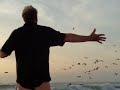 THX 17 6 22 Mov