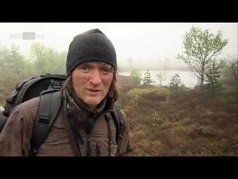 Andreas Kieling   Mitten im wilden Deutschland 3 5 Wildnis Harz Doku
