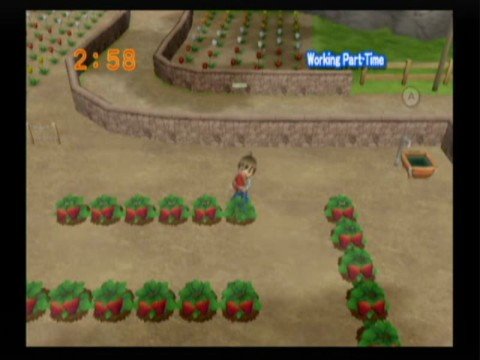 harvest moon wii u