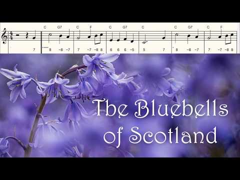 The Bluebells of Scotland