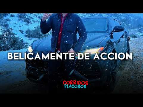 belicamente de acción - Raúl Beltrán × la autorización {Corridos 2023}