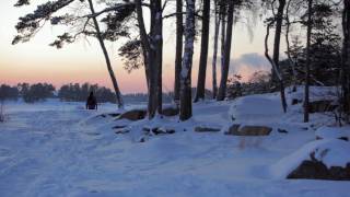 preview picture of video 'Snowy winter scenes from Espoo, Finland'