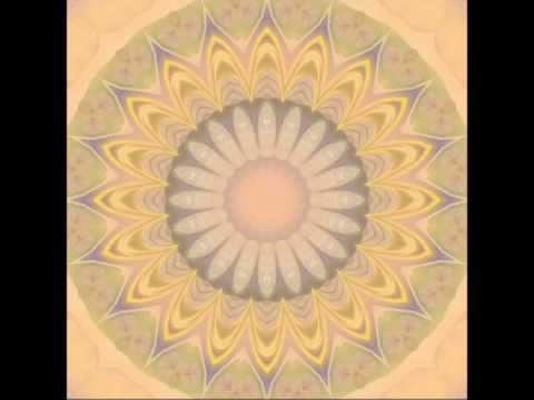 The Cosmic Trip with David Hykes