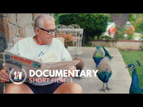 Living with Feral Peacocks in California