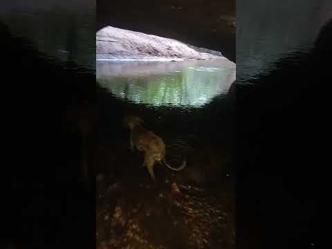 caverna da cachoeira de São João. em parauna