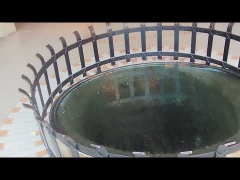 Fecha del pocito del templo de San Juan Delos Lagos Jalisco 