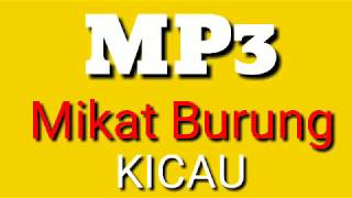 Download lagu MP3 UNTUK MIKAT BURUNG KICAU mp3