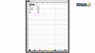 Spreadsheet Basics in the Document App for the iPad