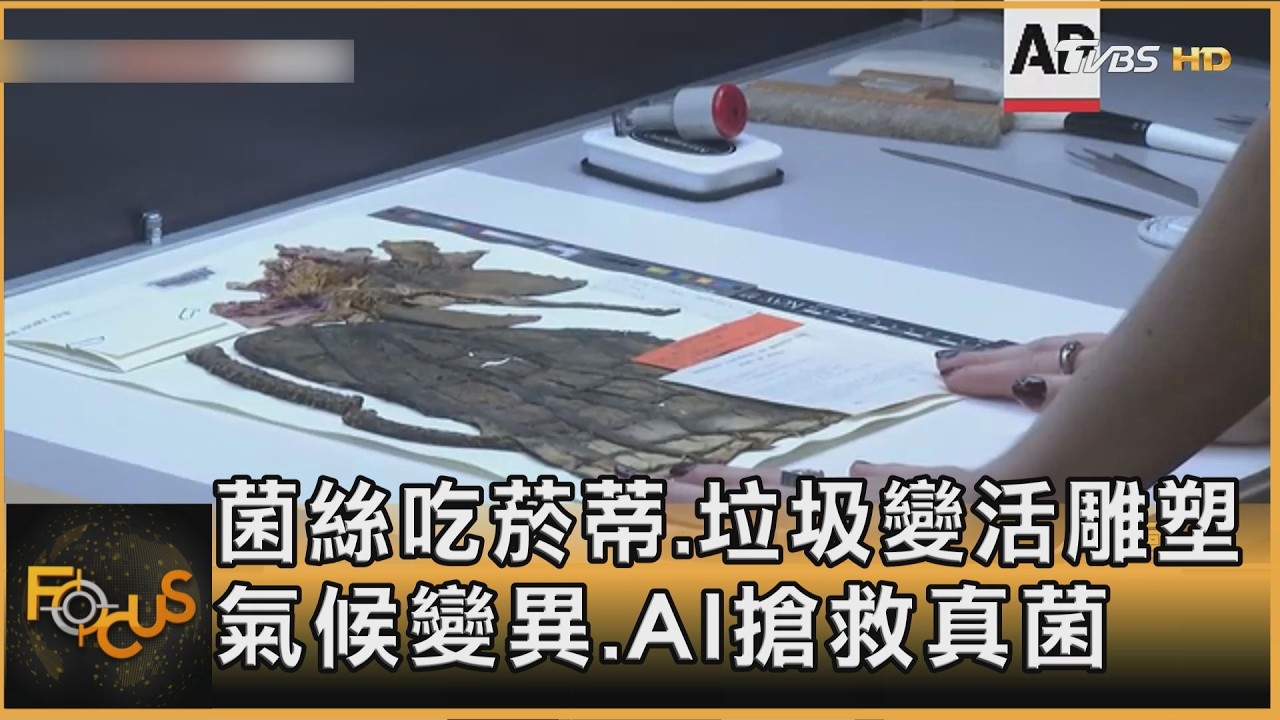 FOCUS全球新聞／菌絲吃菸蒂.垃圾變活雕塑  氣候變異.AI搶救真菌