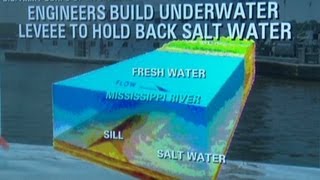 Salt water creeps up Mississippi River