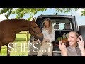 Finding Out If My Horse Is Pregnant