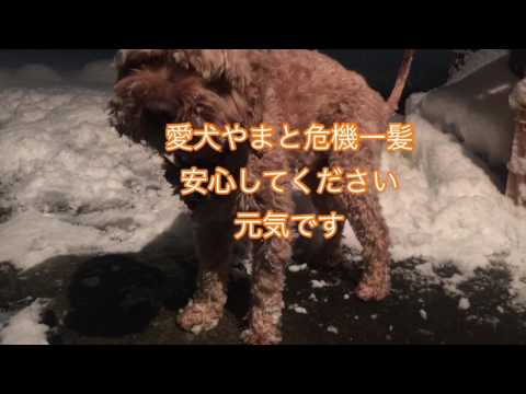 会計学科 大雪！木村勝則税理士滋賀県高島市の日々一生懸命いきる！