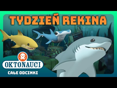 Oktonauci - ✨🦈 MEGATON z okazji Tygodnia Rekina! 🦈✨ | Kompilacja | Całe odcinki