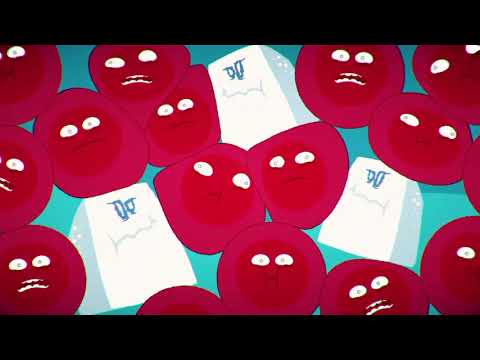 Día Mundial del Riñón