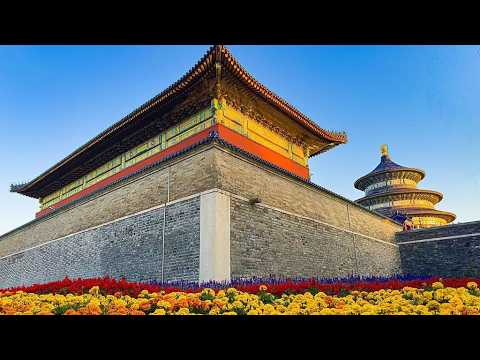 Live: Explore the 45th Chrysanthemum Exhibition at Temple of Heaven Park, Beijing