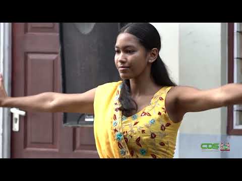 Description or Alt Text