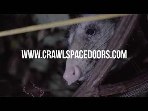 Crawl Space Door – Does Your Crawlspace Needs Attention?
