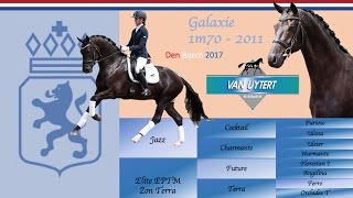 Galaxie arrive en France