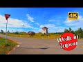 Take A Forest Path To The Minamihama Seaside In Niigata 4K 60FPS