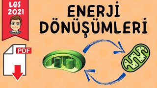 Enerji Dönüşümleri